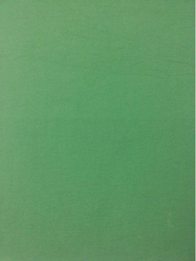 JS ZOYG 消光尼龍塔絲隆02 正面照